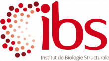 IBS